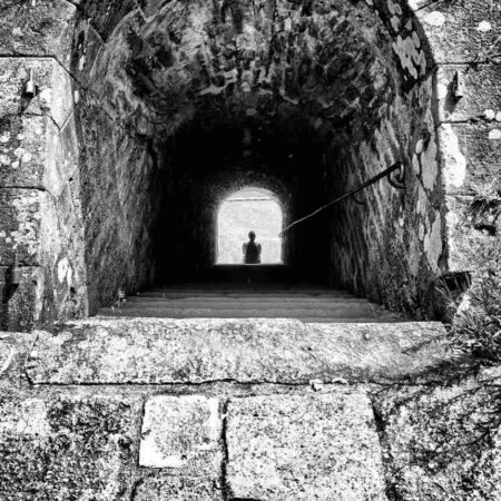 Chroniques #51