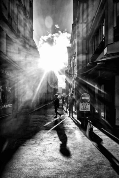Chroniques #50