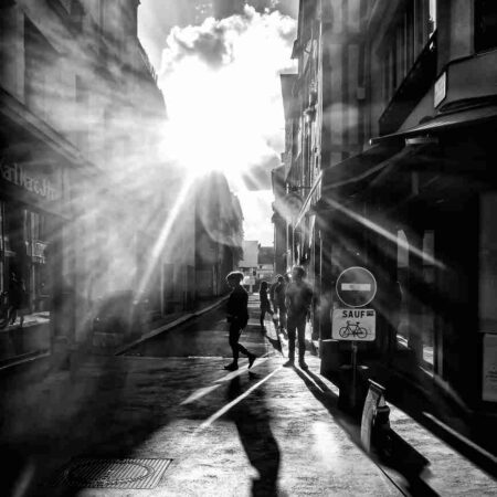 Chroniques #50
