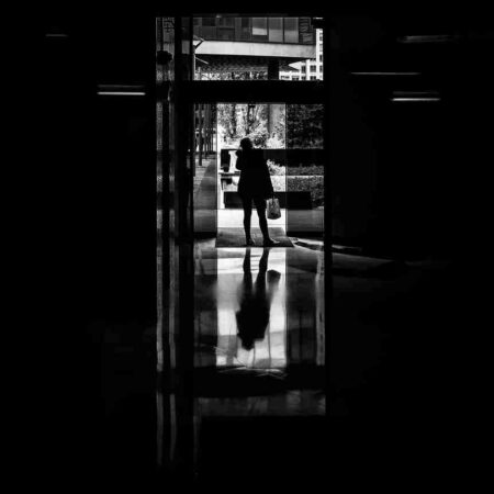 Chroniques #29