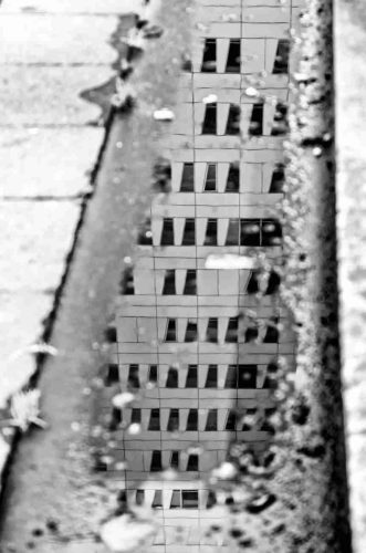 06-cite-graphique.jpg