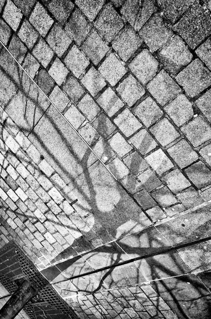12-au-dela-des-murs.jpg