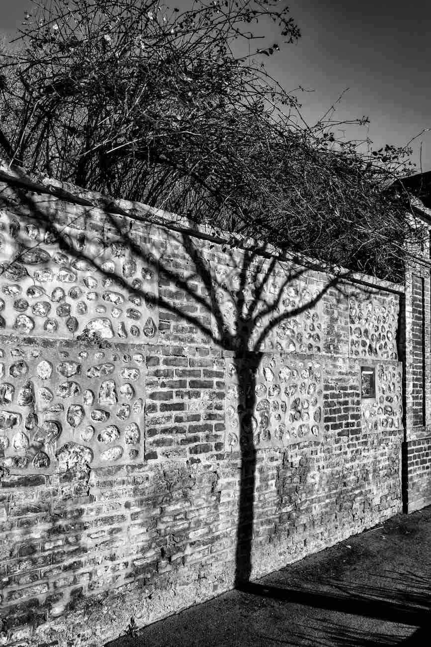 14-au-dela-des-murs.jpg