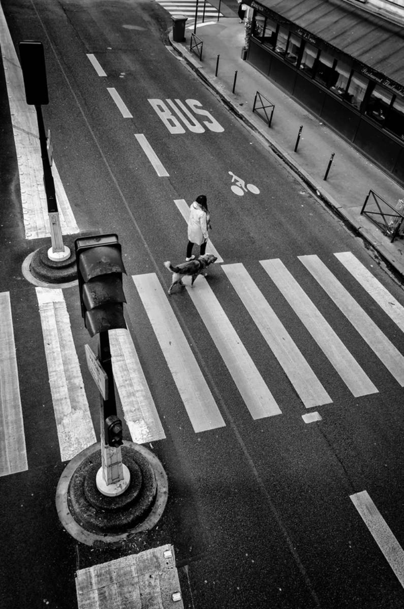 49-chroniques.jpg