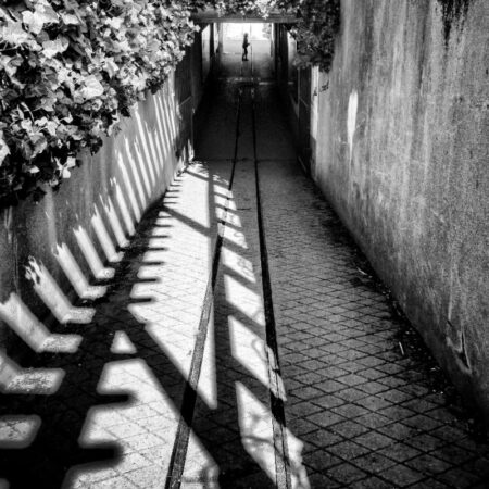 Chroniques #48