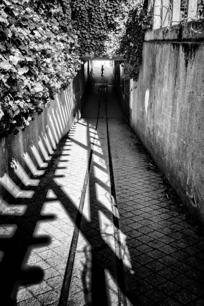 54-chroniques.jpg