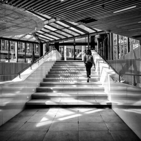 Chroniques #52