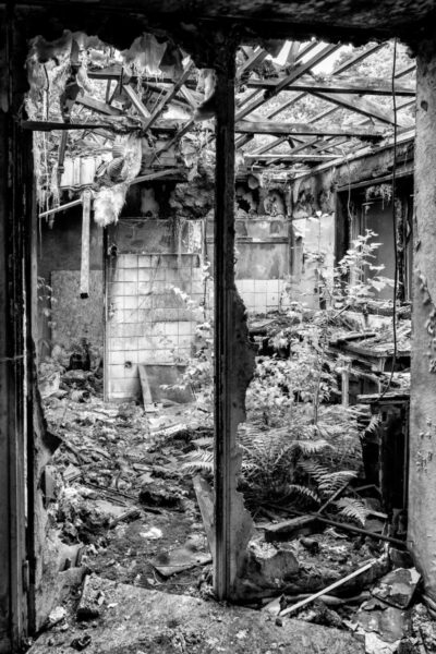 Chaos #50
