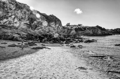 Chroniques #55