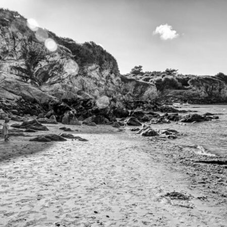 Chroniques #55