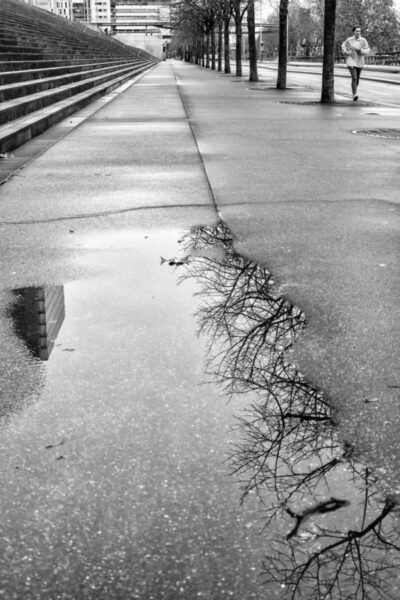 Chroniques #63